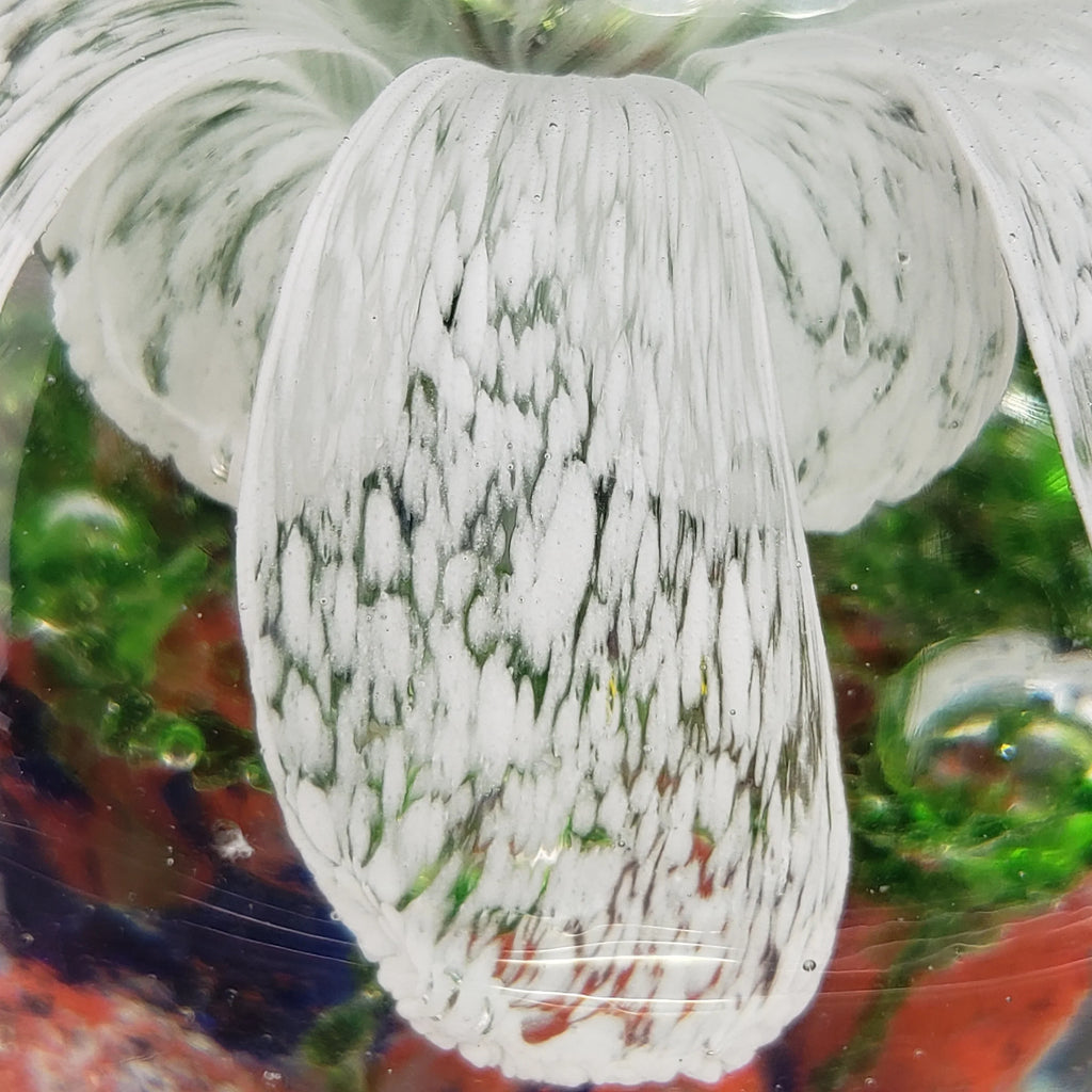 Large Glass Paperweight – Controlled Bubble With White Flower Petals