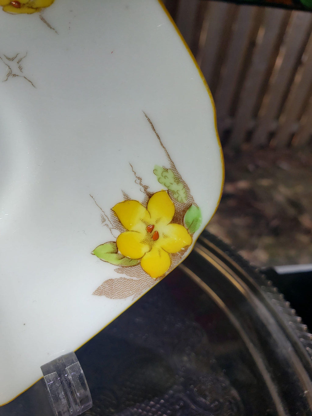 Royal Paragon Teacup and Saucer: English China (Yellow Daffodil Design)
