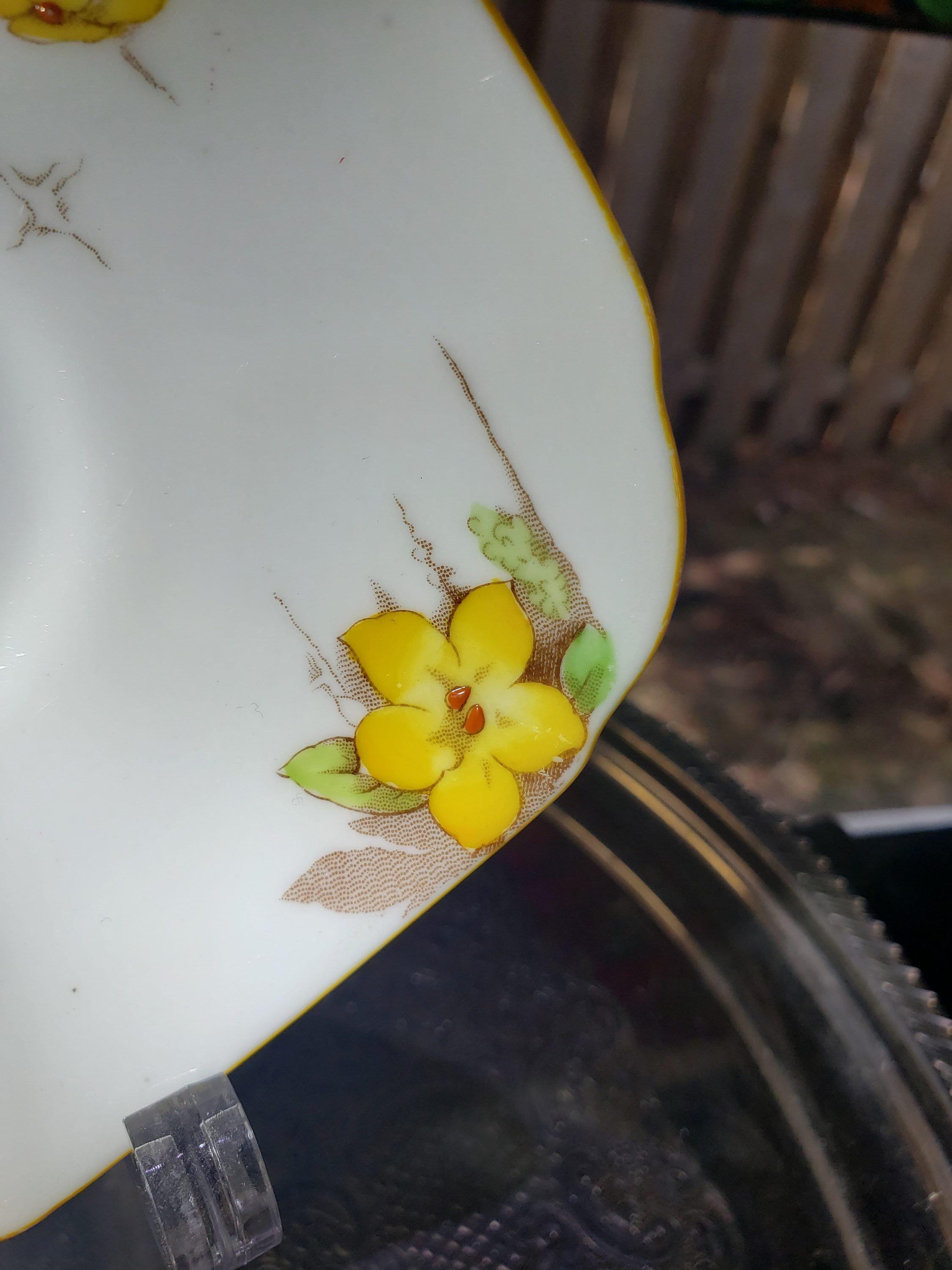 Royal Paragon Teacup and Saucer: English China (Yellow Daffodil Design)