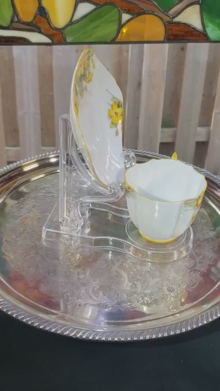 Royal Paragon Teacup and Saucer: English China (Yellow Daffodil Design)